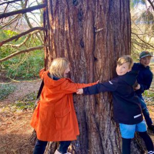 Drei Kinder umarmen einen Baum