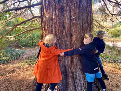 Drei Kinder umarmen einen Baum