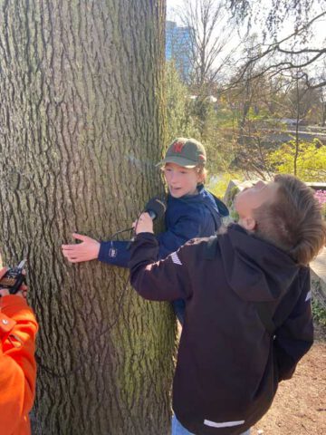 Drei Kinder mit Aufnahmegerät und Mikrofon an einem Baumstamm