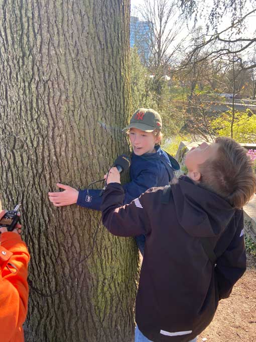 Drei Kinder mit Aufnahmegerät und Mikrofon an einem Baumstamm