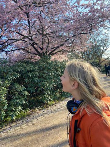 Mädchen mit Kopfhörern in Park vor rosa blühendem Baum