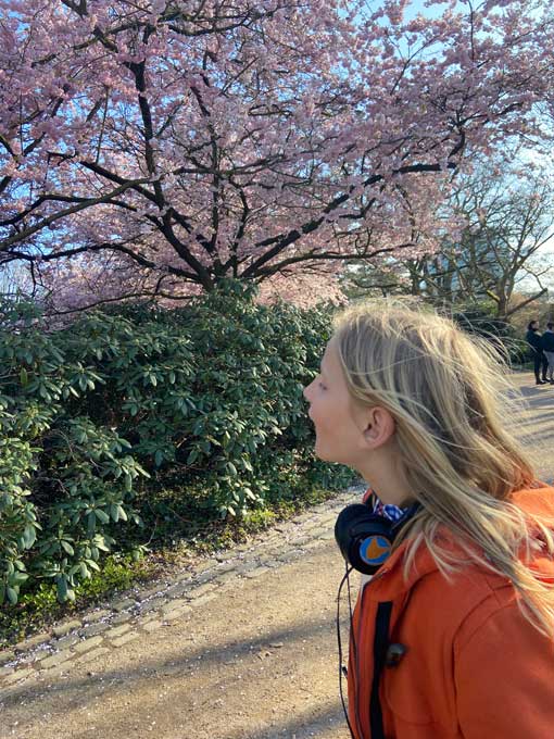 Mädchen mit Kopfhörern in Park vor rosa blühendem Baum